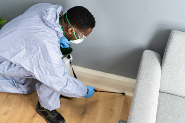 Trusted Maywood, NJ Pest control Experts